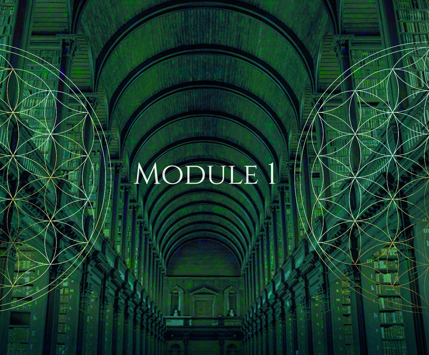 Module 1 artwork, a green library nave behind the flower of life