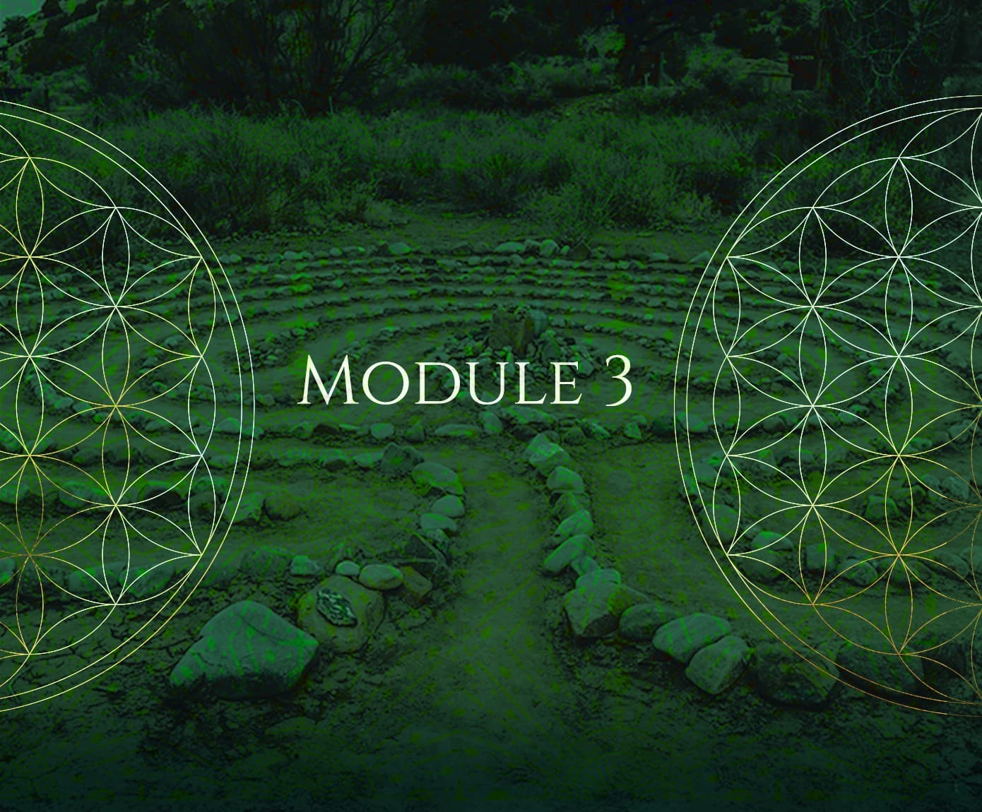 Module 3 artwork, a stone labyrinth behind the flower of life in green