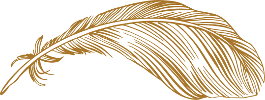 A single feather drawn in gold line